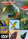 DVD 18 - P�ssaros Livres - Sons P�ssaros Brasil
